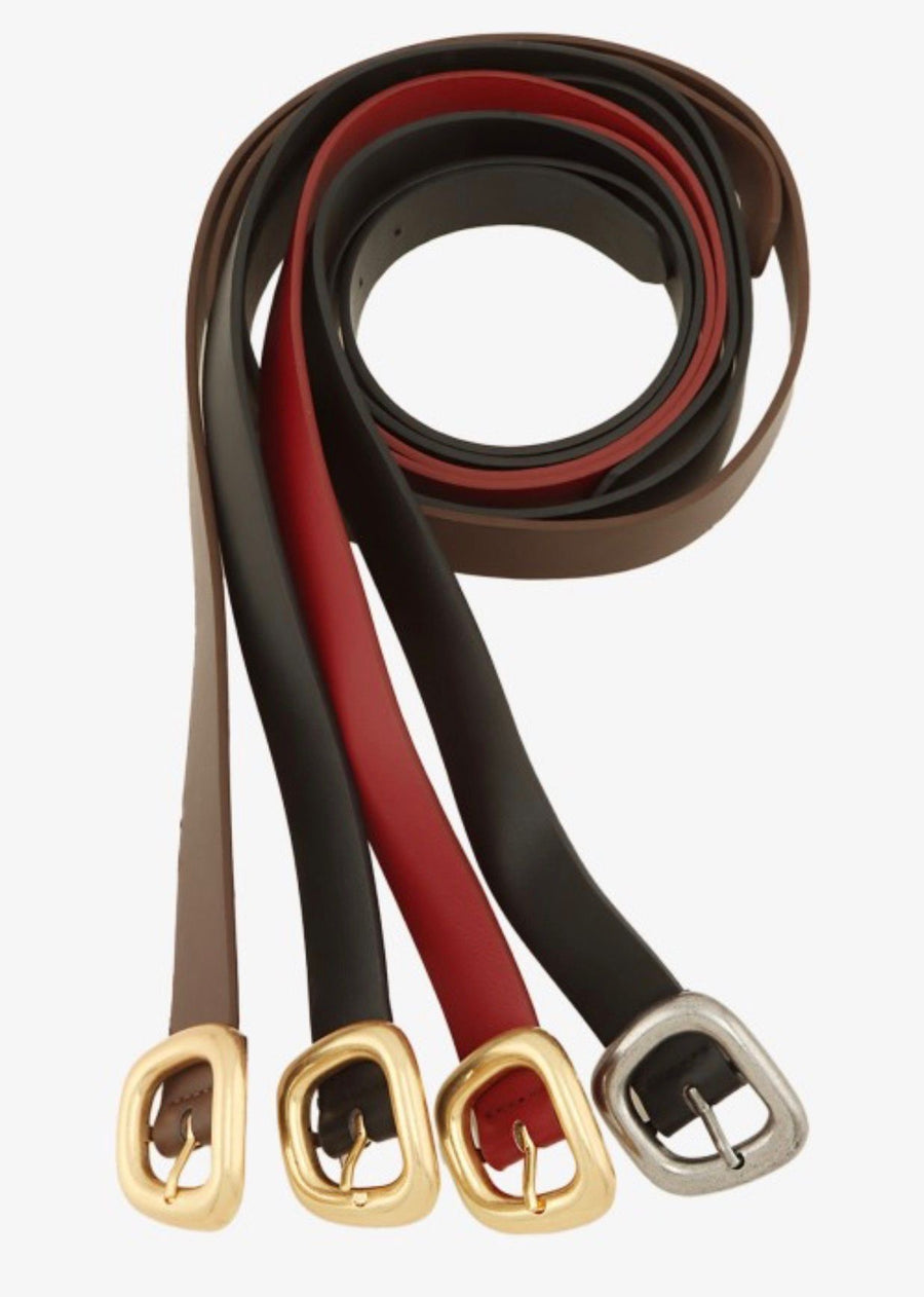 POLISHED GOLD TONE BELTS